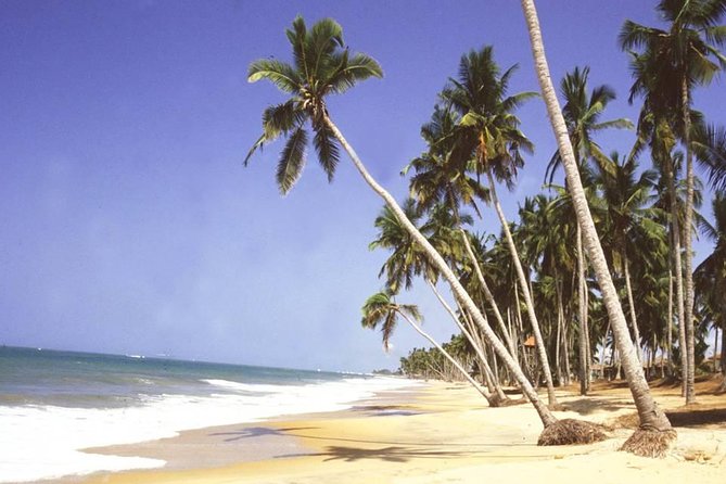 The Best Of Cape Coast Tour - Elmina Castle