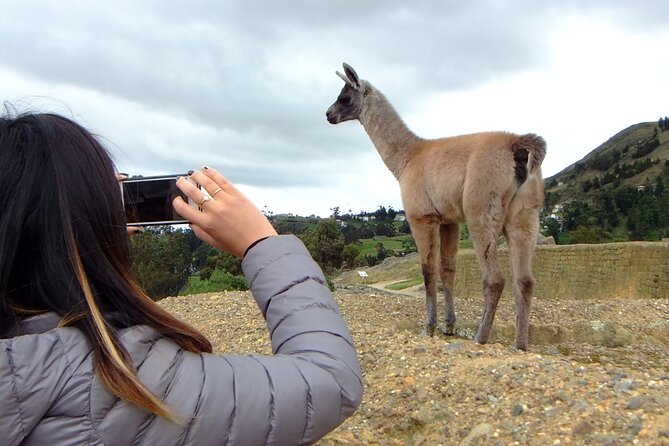 The Best of Cuenca and Surroundings in 2 Days - Ingapirca Ruins