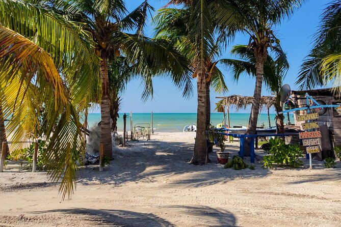 The Best of Holbox From Tulum - Pricing and Cancellation Policy