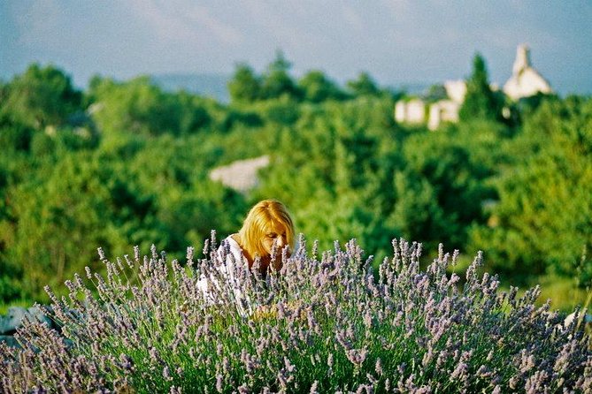 The Best of Hvar Small Group Tour With Wine Tasting and Dinner - Important Details