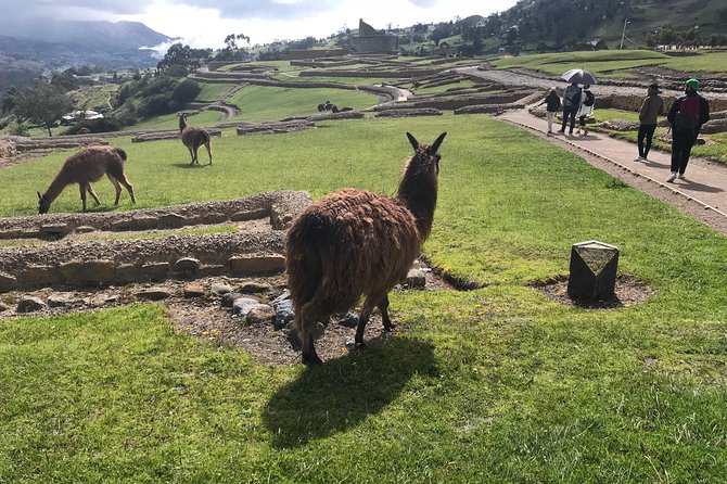 The Best of Ingapirca: an Adventure to the Ecuadorian Machu Picchu - Key Points