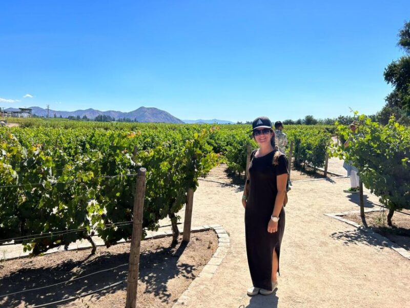The Best of Maipo Valley Wine Tour - Discover Maipo Valley Wineries