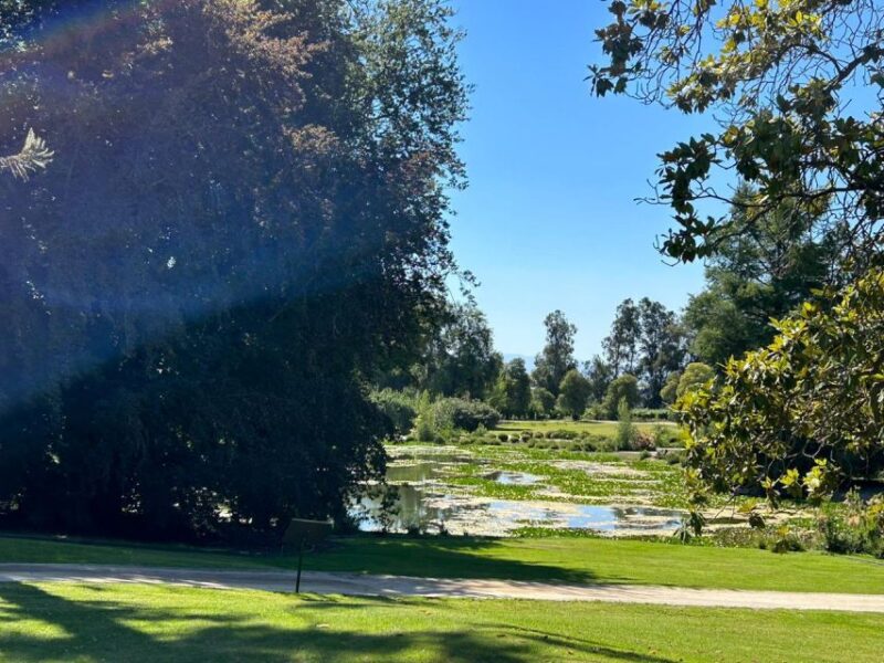 The Best of Maipo Valley Wine Tour - Tasting the Renowned Don Melchor