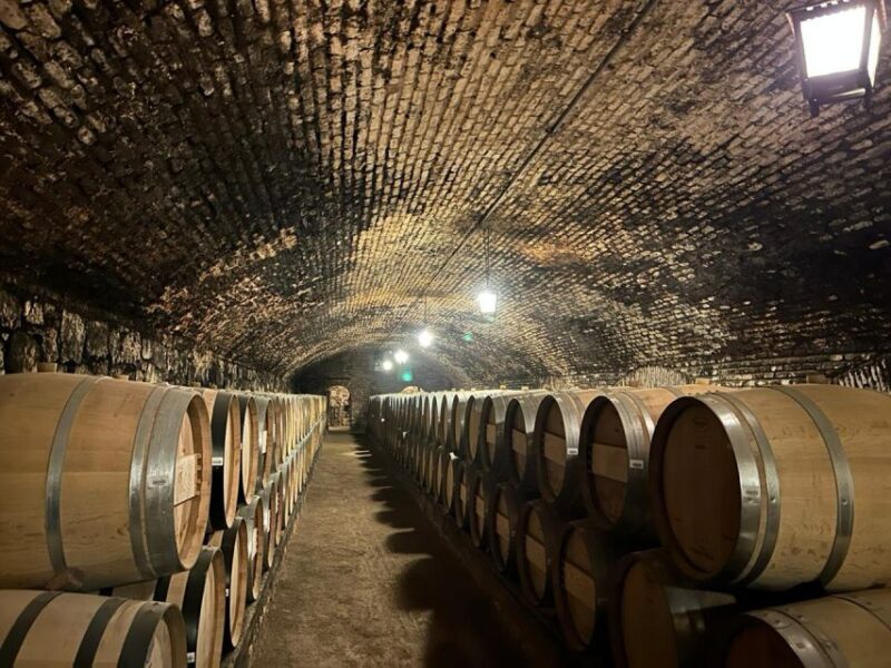 The Best of Maipo Valley Wine Tour - Expert Sommelier-Led Experiences