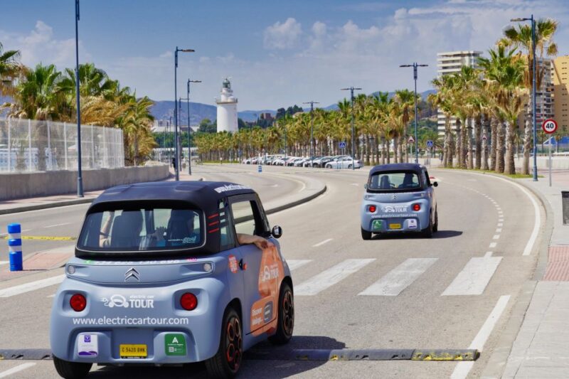 The Best of Malaga in 2 Hours by Electric Car - Booking and Reservations