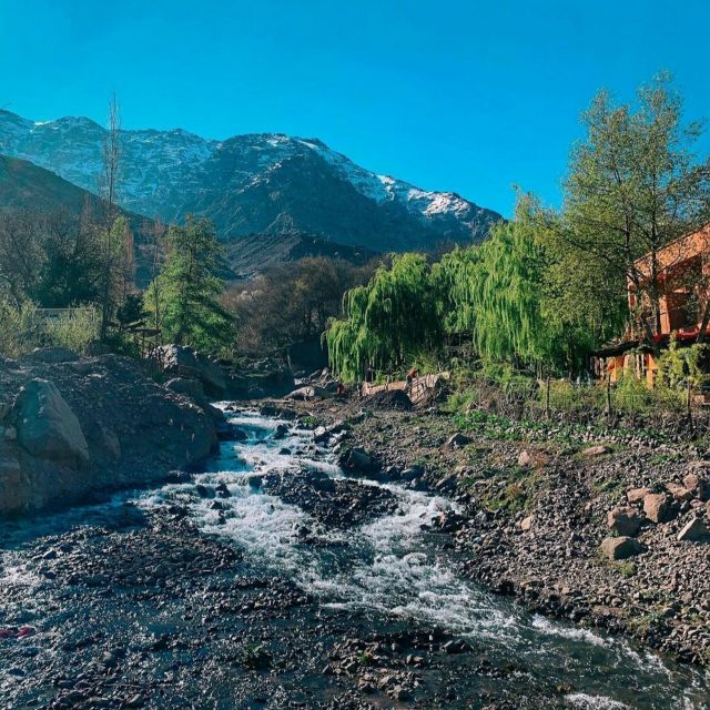 The Best Of Marrakech Atlas Mountain Day Trip 4 Valleys Visi - Transportation and Logistics