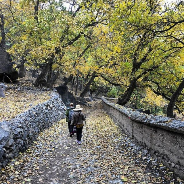 The Best Of Marrakech Atlas Mountain Day Trip 4 Valleys Visi - Inclusions and Exclusions