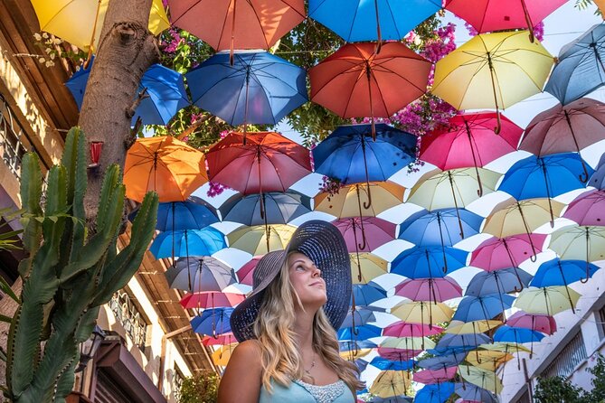 The Best of Nicosia Walking Tour - Key Points