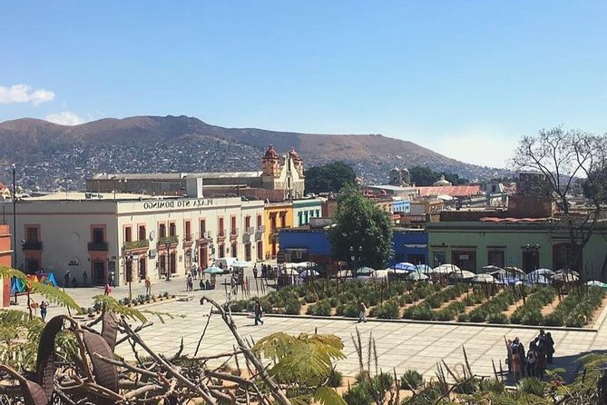 The Best of Oaxaca Walking Tour & Mezcal Tasting - Inclusions