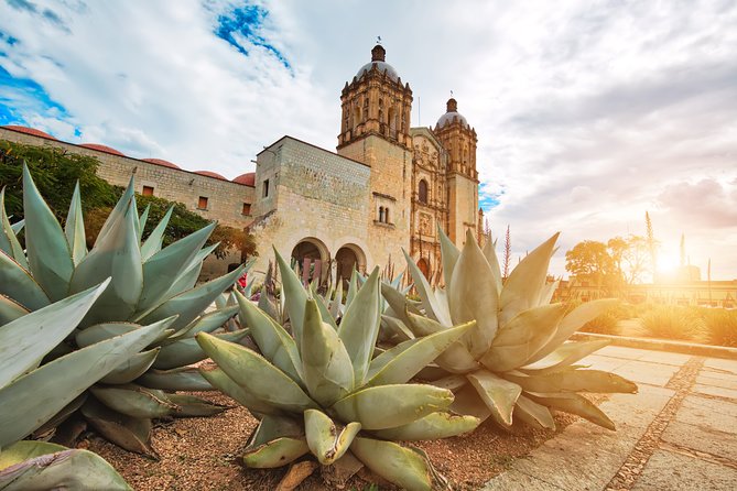 The Best of Oaxaca Walking Tour & Mezcal Tasting - Sampling Mezcal
