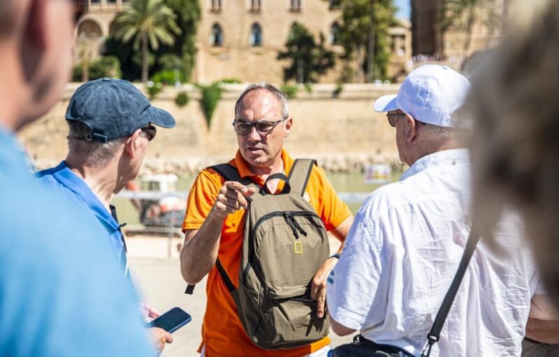 The Best of Palma: Boat Trip, Walking Tour and Cathedral - Customer Feedback