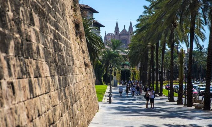The Best of Palma: Boat Trip, Walking Tour and Cathedral - Frequently Asked Questions