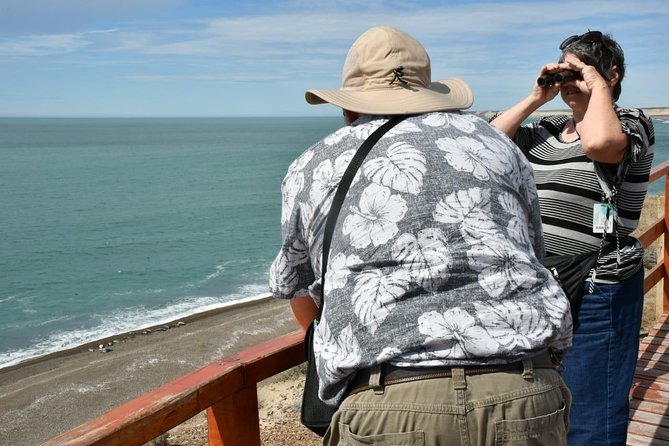 The Best of Peninsula Valdés in One Day - Inclusions