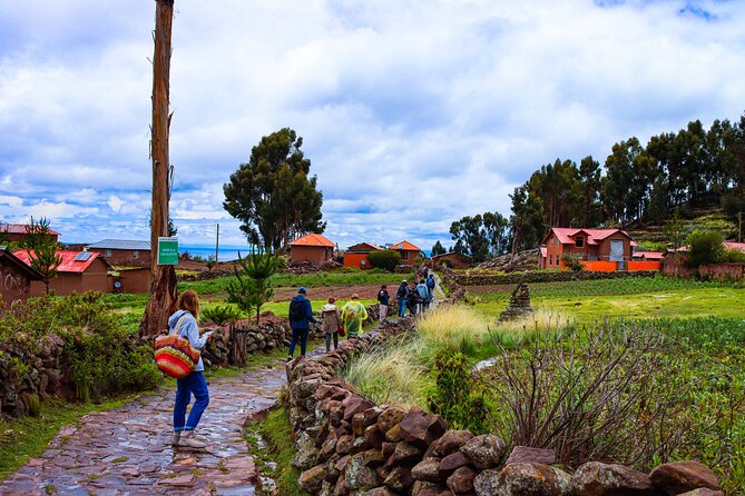 The Best of Peru 6 Days From Puno to Lake Titicaca, Cusco and Machu Picchu - Travel Requirements