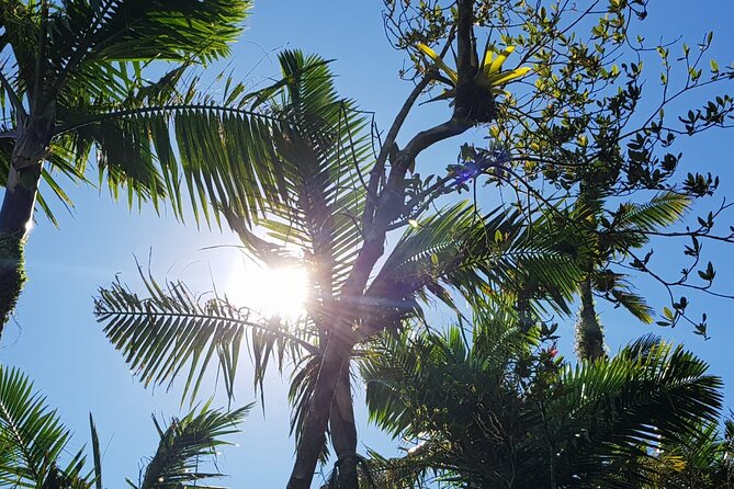 The Best of Puerto Rico Private Day Tour - Traveler Experience and Reviews