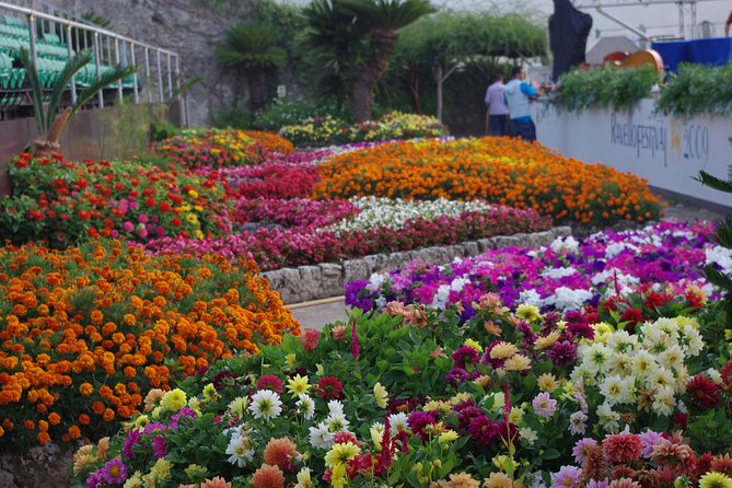 The Best of Ravello With an Expert Local Guide - Discovering Villa Rufolos Enchanting Gardens