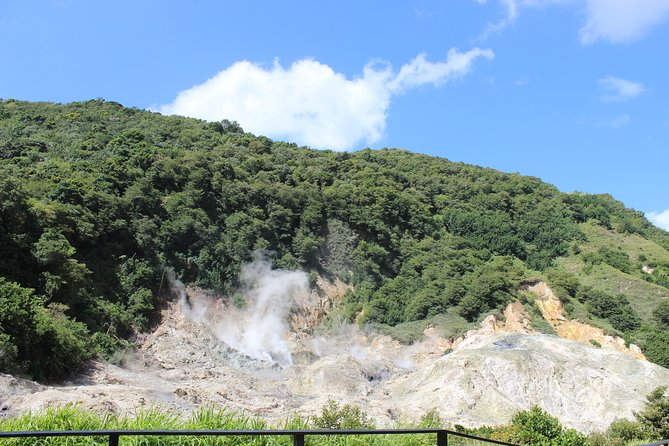 The Best of Saint Lucia Tour - Scenic Highlights