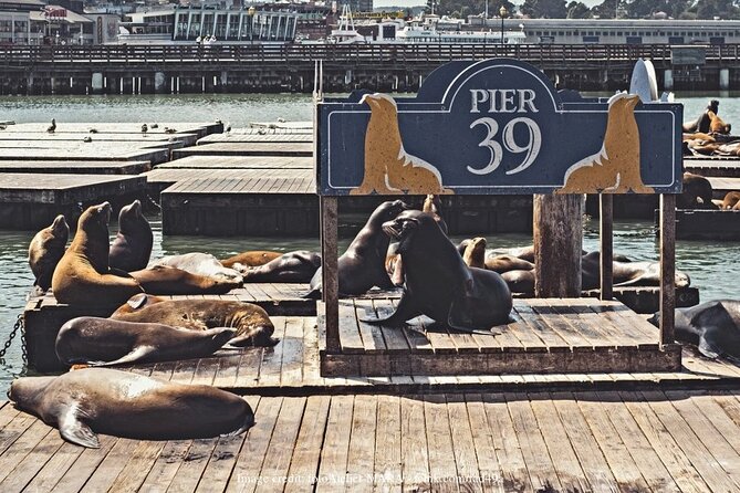 The Best of San Francisco: Private Half-Day Walking Tour - Accessibility and Physical Fitness Considerations