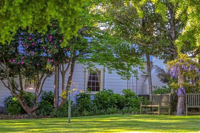 The Best of Tauranga Walking Tour - Highlights of the Tour