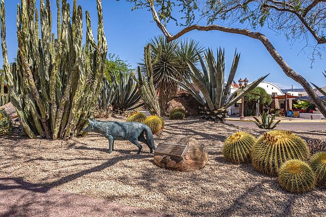 The Best Of The Valley!!! (Oldtown, Carefree & Cave Creek) - Outdoor Adventures in the Region