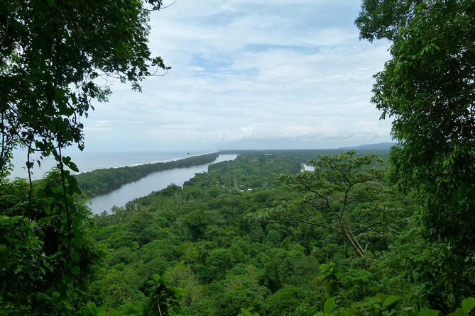 The Best of Tortuguero: Canoe, Hike and Night Tour (Turtle in Jul-Oct) - Meeting and Logistics