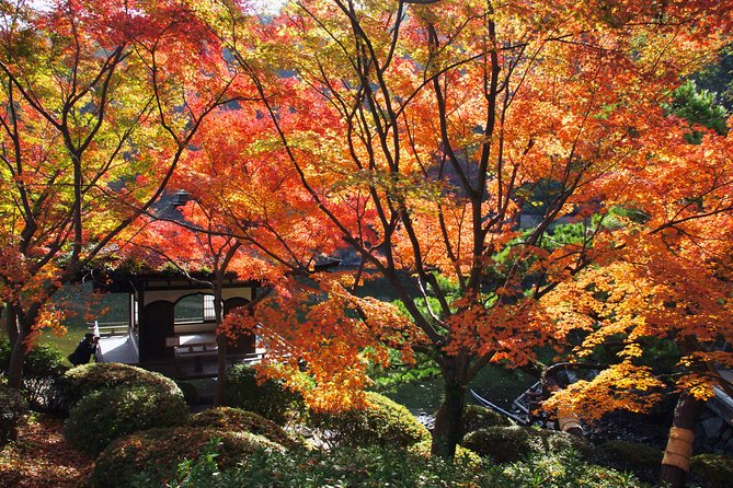 The Best of Wakayama City Private Tour - Included in the Tour