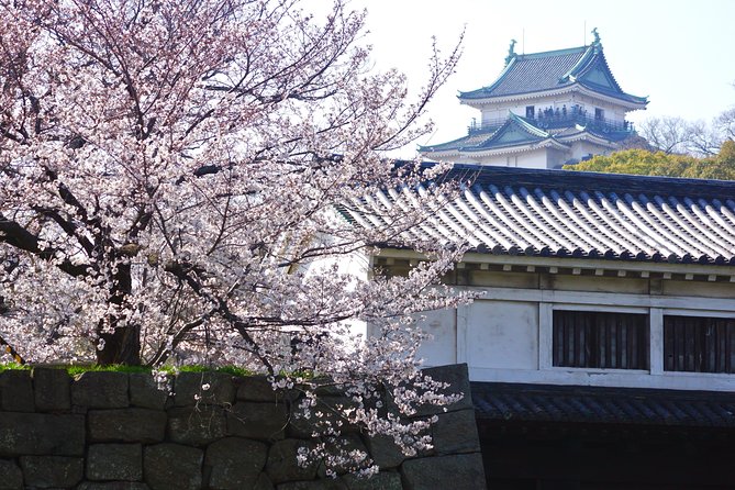 The Best of Wakayama City Private Tour - Meeting and Pickup