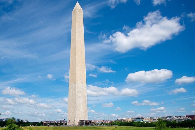 The Best of Washington DC: Private Full-Day Walking Tour - Comprehensive Overview of US History