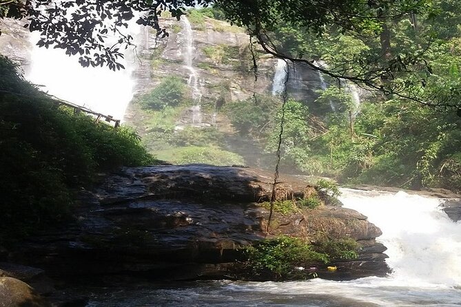 The Best One Day Trip Of Doi Inthanon National Park - Accessibility and Physical Requirements