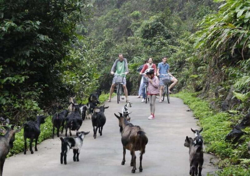 The Best Overnight Cruise Visit Lan Ha Bay, Viet Hai Village - What to Bring and Important Information