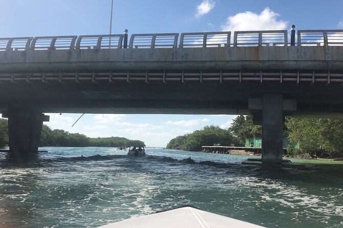 The Best Speedboat Tour in Cancun Through Nichupte Lagoon, Snorkel Included. - What to Expect on the Tour