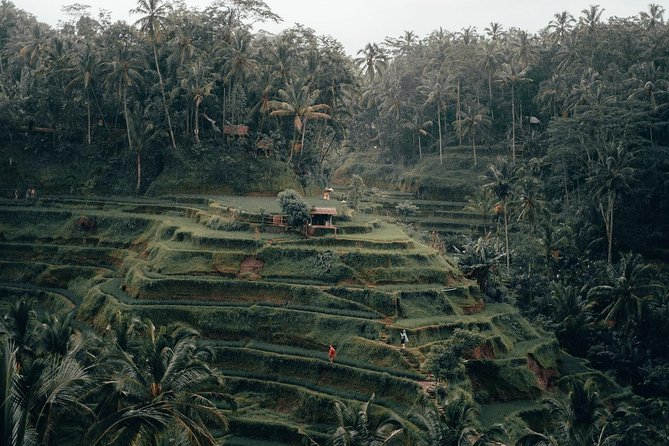 The Best Ubud Experience in a Full-Day Private Tour - Free WIFI - Highlights of the Tour