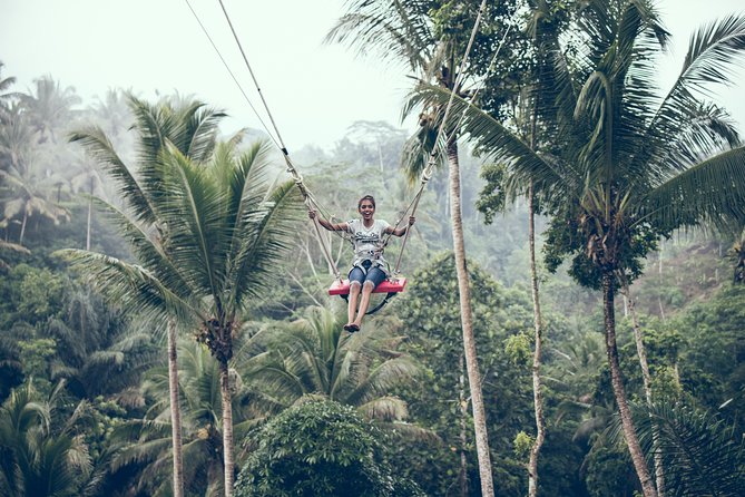 The Best Ubud Experience in a Full-Day Private Tour - Free WIFI - Tour Itinerary
