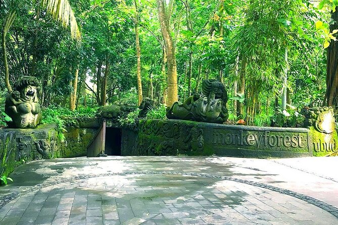 The Best Ubud Experience in a Full-Day Private Tour - Free WIFI - Pickup Information