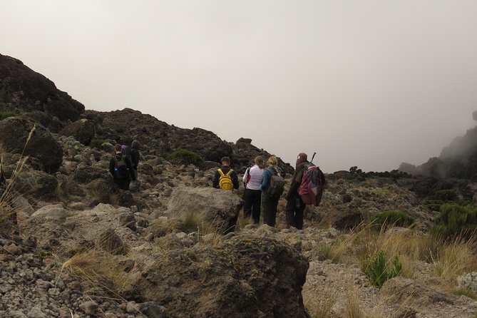 The Best & Unique Kilimanjaro Hiking Tour 7 Days Machame Route - Pick-up and Meeting Point Details