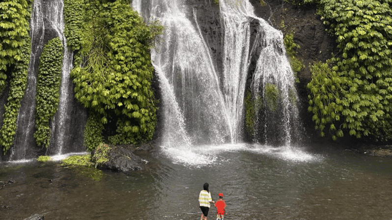 The Best Waterfall in North of Bali Have to Visit in Bali - Tour Highlights