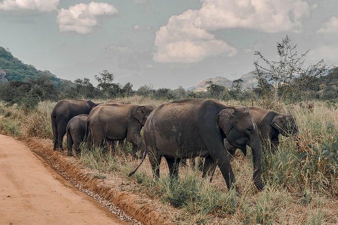 The Big 5 in Southern Coast Season (7 Days) - Tour Details
