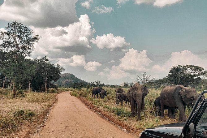 The Big 5 in Southern Coast Season (7 Days) - Booking Information
