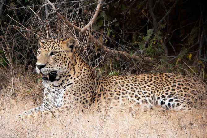 The Big 5 in Southern Coast Season (7 Days) - Itinerary