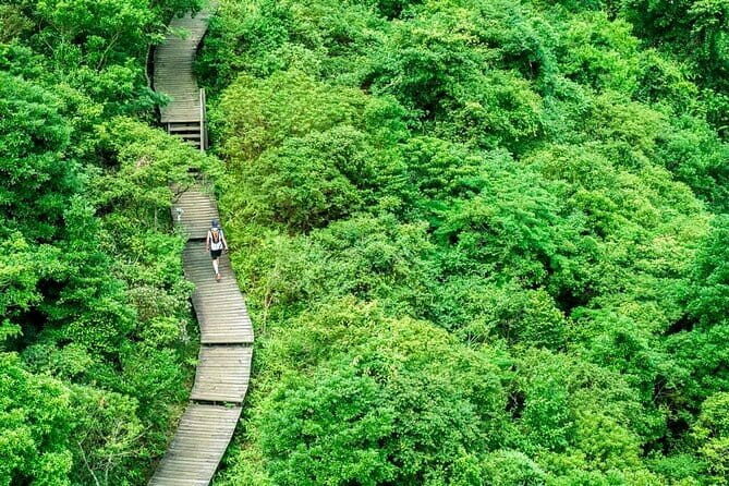 The Big Buddha & Lantau Island - Private Tour with Private Car - A Deep Dive Into the Lantau Island Private Tour