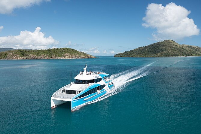The Big Island Day Tour: Full Day Tour to Whitehaven Beach - Guided Walks and Viewpoints
