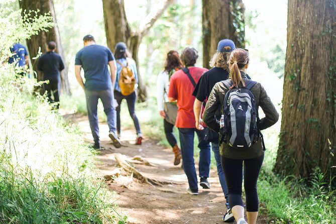 The Bigfoot Tour in Oregon - The North American Bigfoot Center
