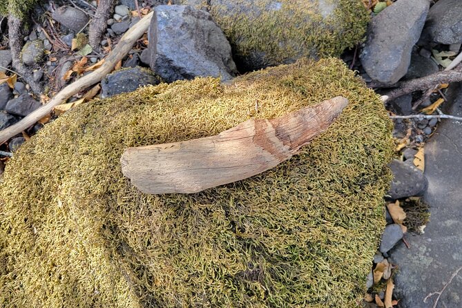 The Bigfoot Tour in Oregon - Meeting and End Points