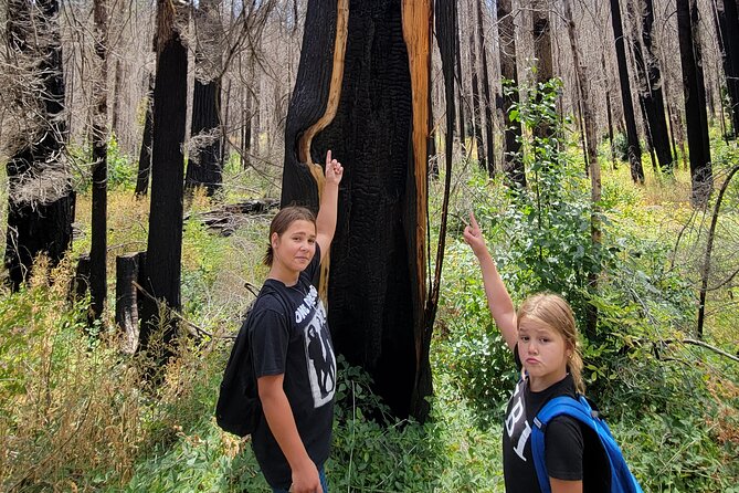 The Bigfoot Tour in Oregon - Tour Highlights and Feedback