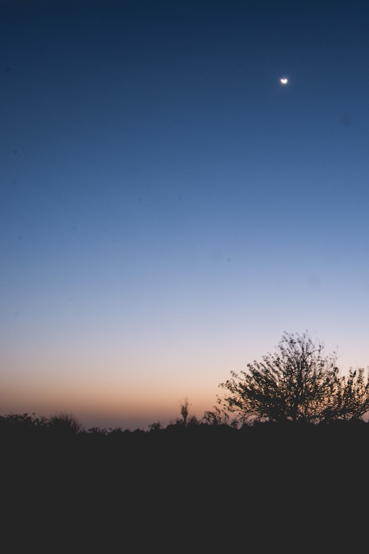 The Billion Stars Experience in the Desert - Key Points
