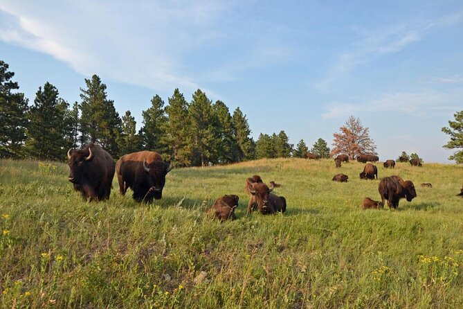 The Black Hills Full Monty: Stories in Stone - Key Points