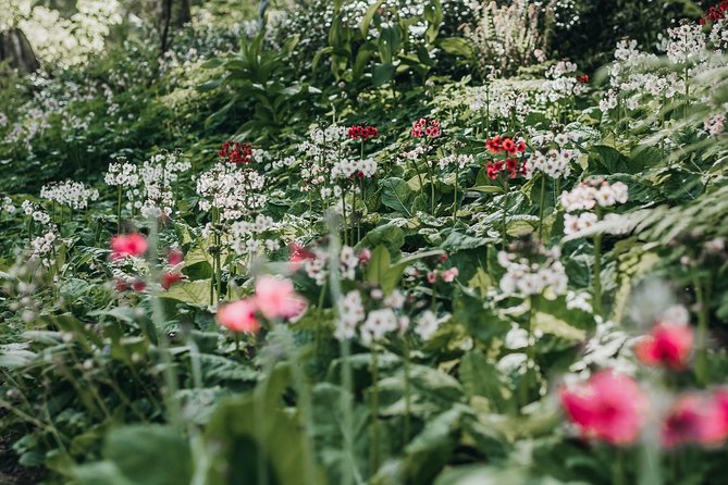 The Bloedel Reserve & Sightseeing - Making the Most of Your Experience