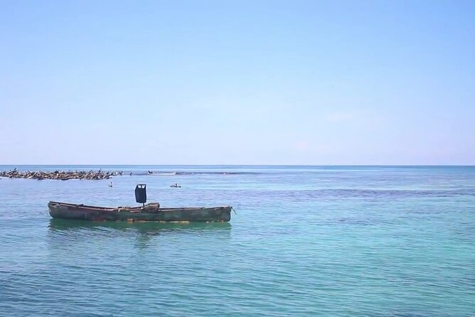 The Bluefields Experience: Organic Farm, Beach & Coral Reef - Booking and Cancellation Policy