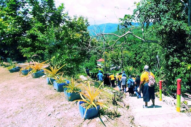 The Bluefields Experience: Organic Farm, Beach & Coral Reef - Recommendations and Considerations