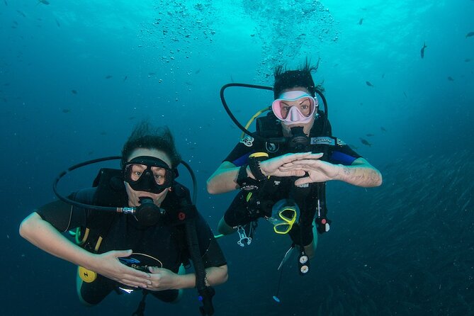 The Bombona Diving Koh Tao Open Water Course - Key Points